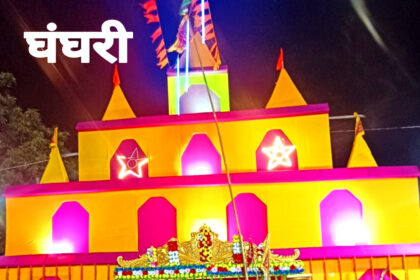 Crowds of devotees gathered as soon as the doors of the Durga Puja temples opened. Goddess Kaalratri was worshipped on Saptami