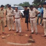 WhatsApp Image 2025 09 09 at 16.55.34 b3ec970f