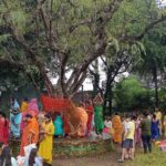 Amla Puja was performed on Akshaya Navami in Barhi