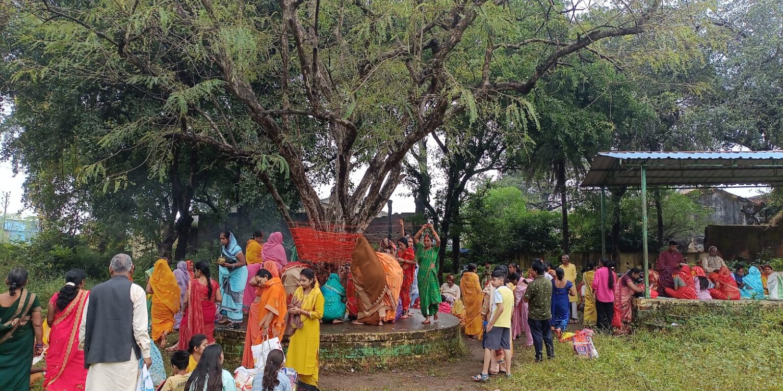 Amla Puja was performed on Akshaya Navami in Barhi