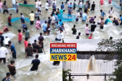 IMG COM 20251002 1317021