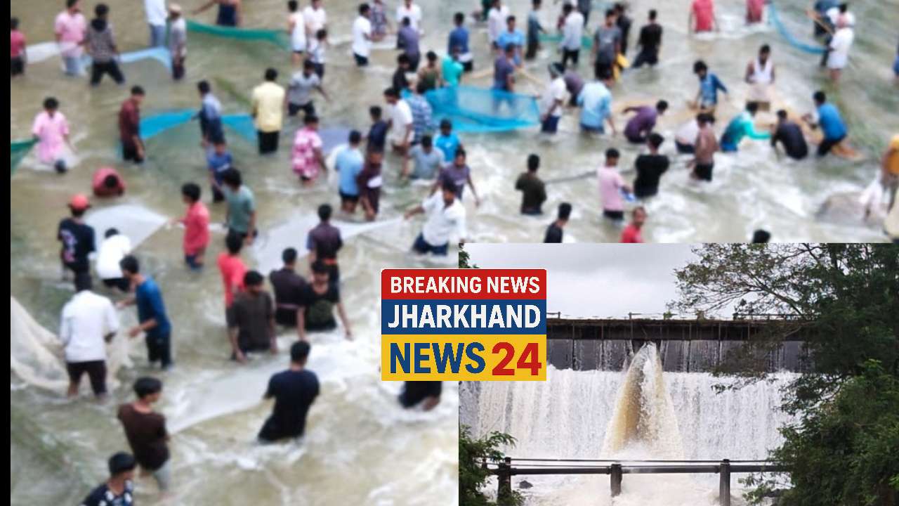 IMG COM 20251002 1317021