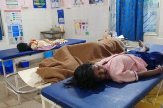 WhatsApp Image 2025 10 30 at 17.11.31