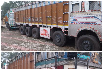 04 trucks loaded with coal seized action taken by the regional forest department at Chauparan check post