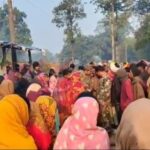 A wild elephant trampled a woman to death in Gomia block. Three have died in elephant attacks in the last eight days