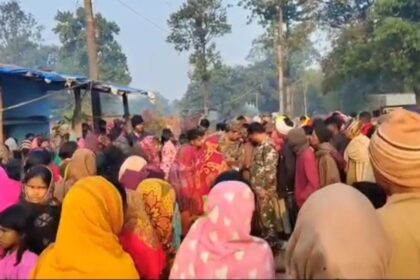 A wild elephant trampled a woman to death in Gomia block. Three have died in elephant attacks in the last eight days