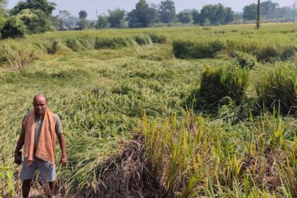 Four bighas of a farmers land were submerged as water flowed 24 hours a day after a solar water tower switch malfunctioned