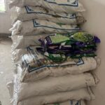 Free distribution of maize and mustard seeds to farmers started in Fatehpur block