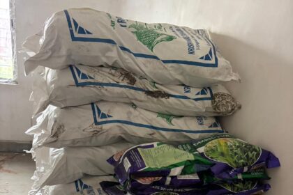 Free distribution of maize and mustard seeds to farmers started in Fatehpur block