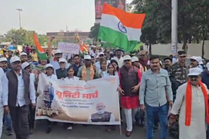 MPs furious over Sardar Patels neglect statue painted on his birth