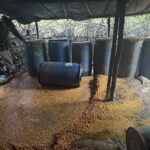 Raids conducted on illegal mahua liquor manufacturing sites 2400 kg Java mahua destroyed and 160 litres of mahua liquor seized