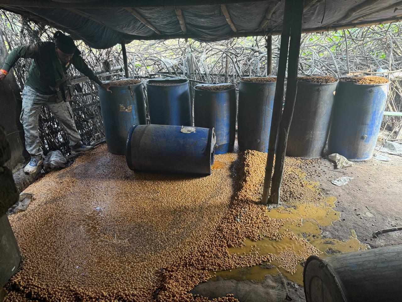 Raids conducted on illegal mahua liquor manufacturing sites 2400 kg Java mahua destroyed and 160 litres of mahua liquor seized