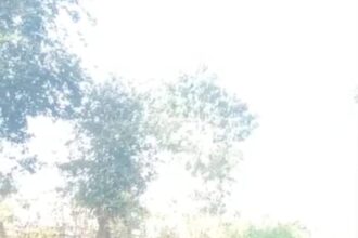 There are many benefits of ploughing with bulls Sanjay Vishwakarma ji