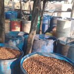 WhatsApp Image 2025 11 10 at 17.34.142