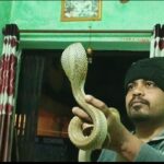 WhatsApp Image 2025 12 14 at 18.16.051