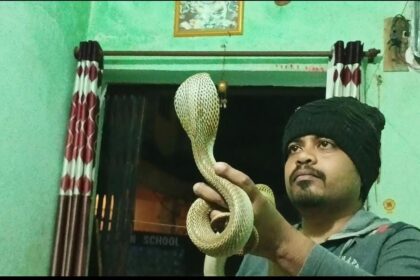 WhatsApp Image 2025 12 14 at 18.16.051