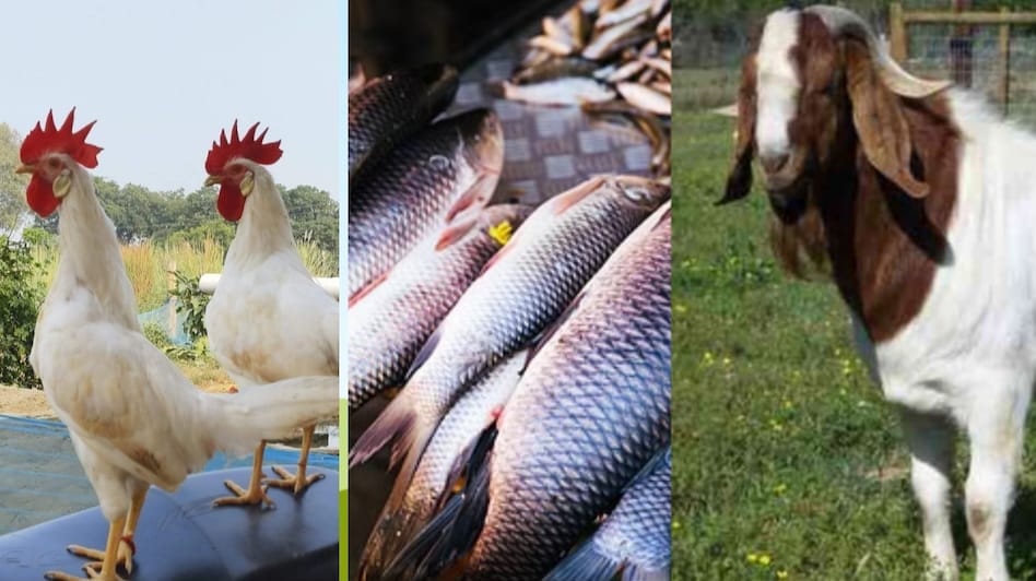 Dumka FSSAI has strict rules for meat and chicken shops compliance is mandatory or action will be taken